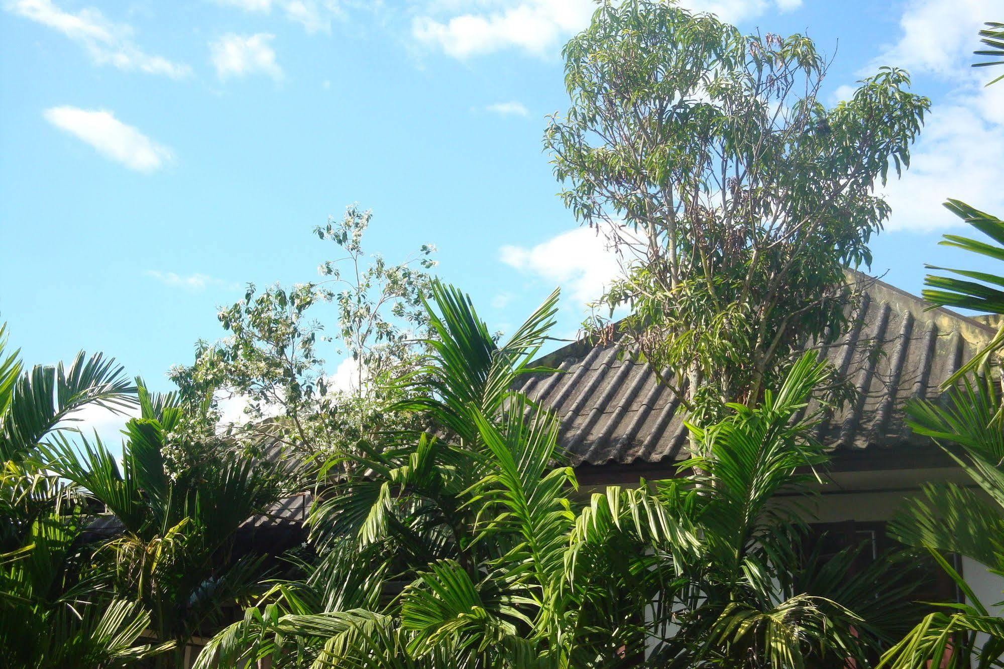 Ming Guesthouse Pai Esterno foto